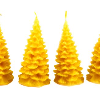 Bienenwachs Tannenkerzen Baumkerzen Adventskerzen Kerzenset Tannenbäume Weihnachtsbäume
